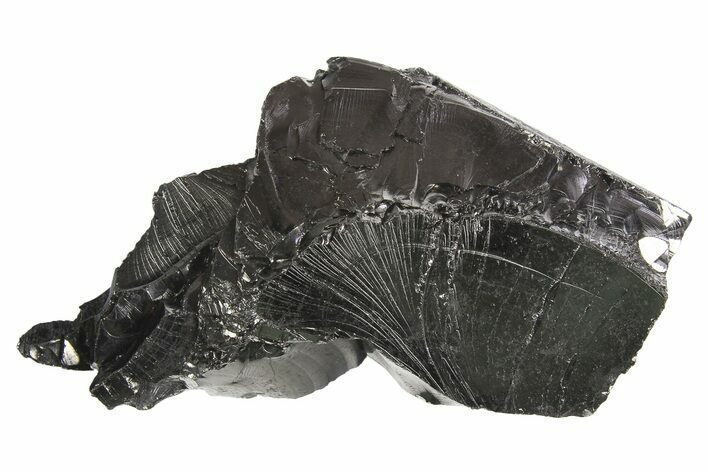 Lustrous, High Grade Shungite - Colombia #297137